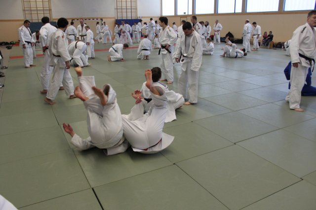Olympische Bodentechniken 2013